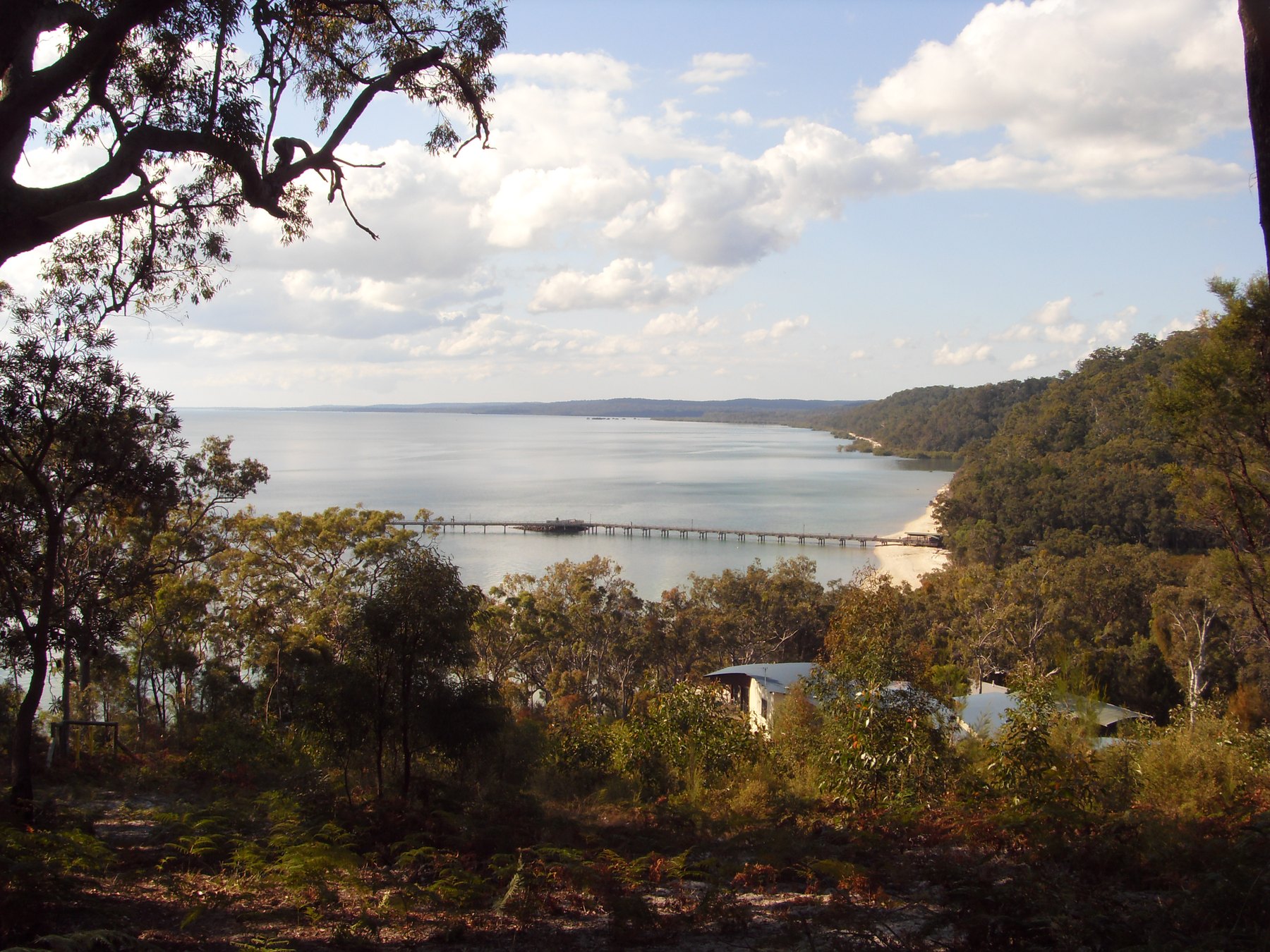 Trees frame the shoreline and jetty at Kingfisher Bay on K’gari’s west coast